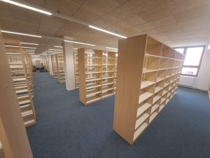 20250411_131038_resized