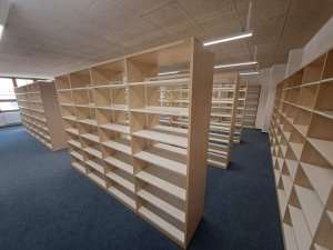 20250411_131112_resized