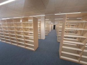 20250411_133551_resized