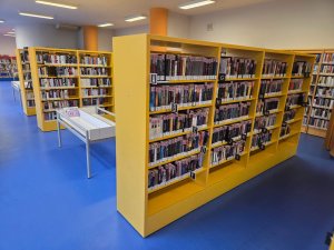 20251215_104152_resized